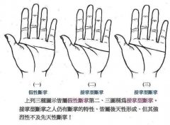 利用贵州断掌的种类：假型断掌和接掌型断掌
